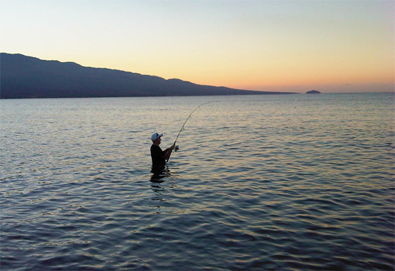 Maui shore fishing and reef fishing
