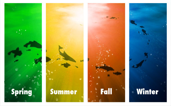 Hawaii Fishing Seasons Chart