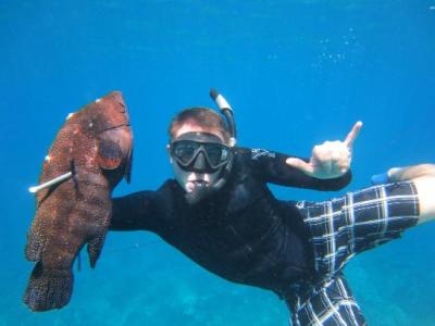 Maui Spear Fishing guides and information