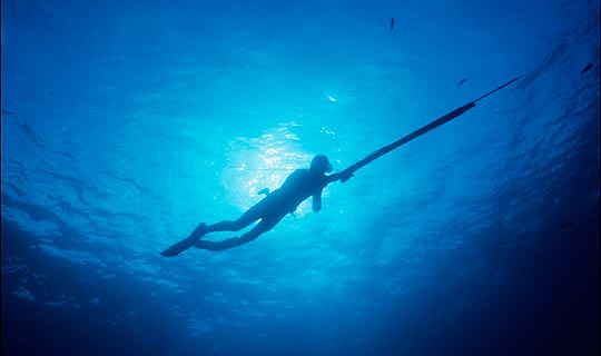 West Maui Spearfishing Guided Charter Tours