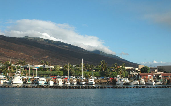 maalaea harbor Maui