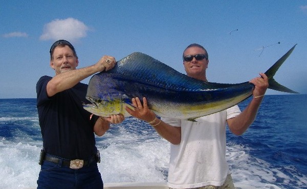 Maui game fish caught sport fishing: marlin, mahi mahi, ahi, ono
