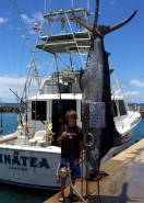 blue marlin maui fishing charters
