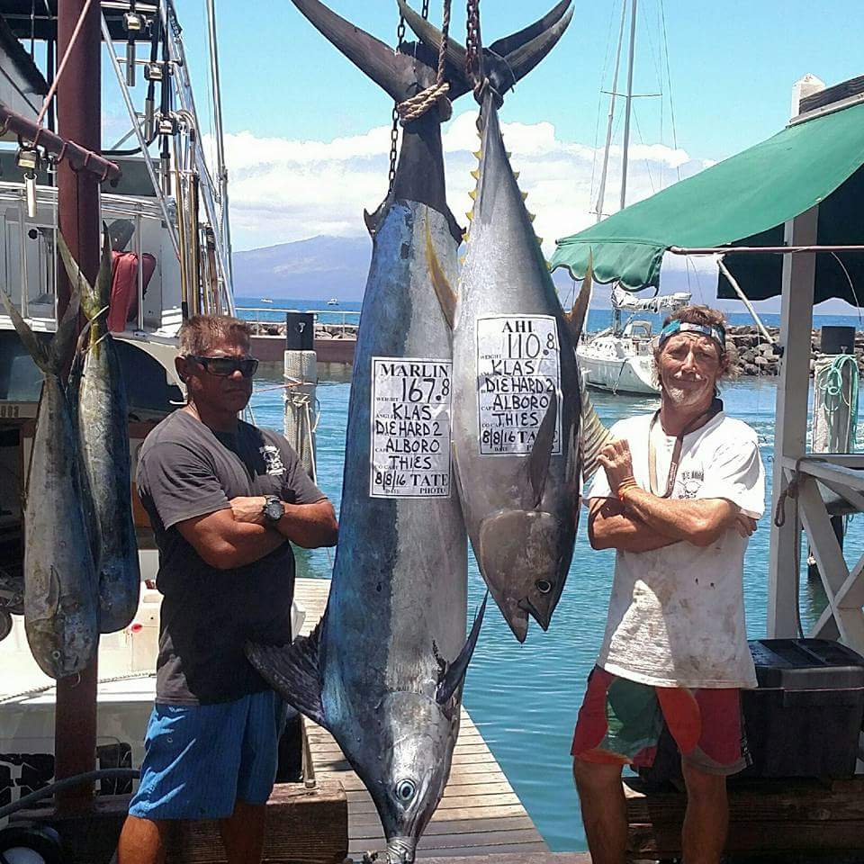 blue marlin and yellowfin tuna (ahi)