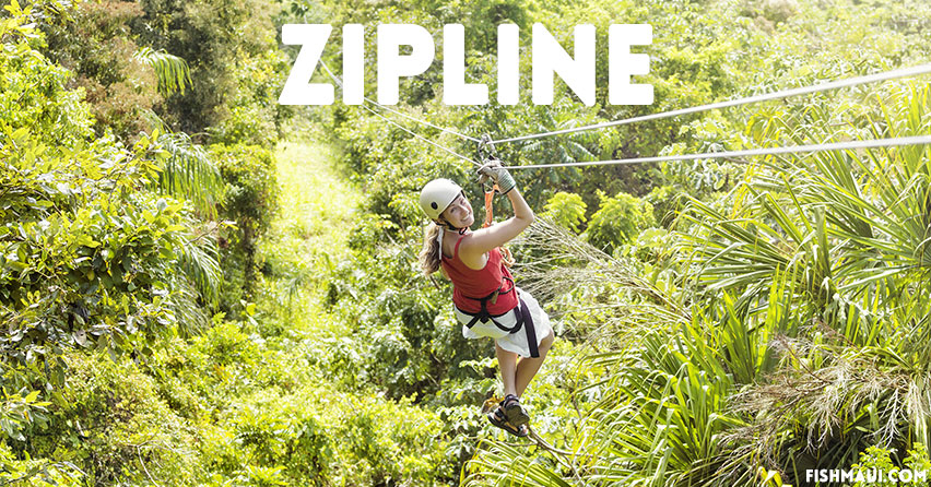 Maui Zipline