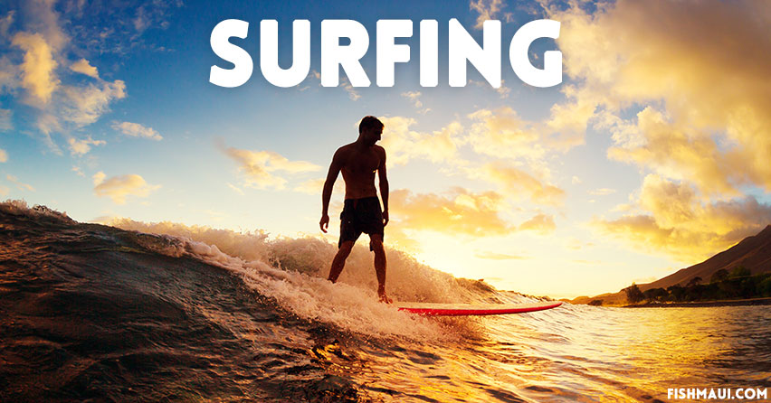 Maui surfing lessons